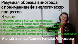 4 фильм 