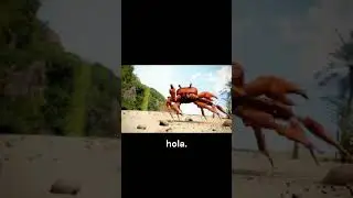 hola.  #memes #shorts #crabrave #starman #fortnite #fypシ゚viral #fypシ゚viral