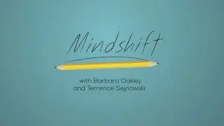 Mindshift: Break Through Obstacles to Learning and Discover Your Hidden Potential