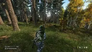 DayZ BEAR ATTACK