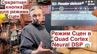 Режим Сцены в Quad Cortex Neural DSP, секретная кнопка
