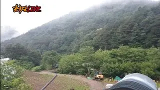 [실시간] 비 오는 평창_20240615_자유대한호국단