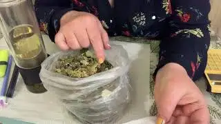 Назбираємо за літо чудового чаю