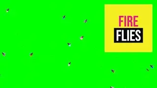 Realistic Fireflies Green Screen Effects