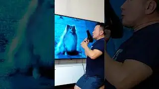 Instant Karma 😂 Angry Dogs #shorts #memes #comedy