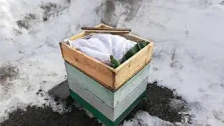 Сибирь, зимовка пчёл на воле, предостережение. Часть4.