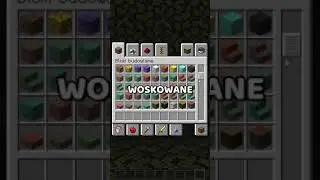 ITEM W MINECRAFT Z NAJDŁUŻSZĄ NAZWĄ! #shorts