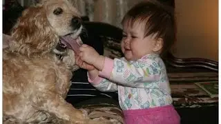 Смешное видео! Дети и животные