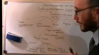 Introduction to Linguistics. Morphology. Parts of Speech