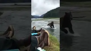 Scary bear encounter
