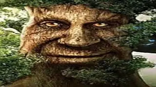 геймплей мудрого дуба