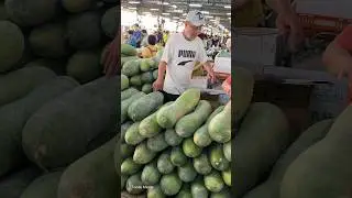 The World's Largest Fruit - Giant Winter Melon Cutting
