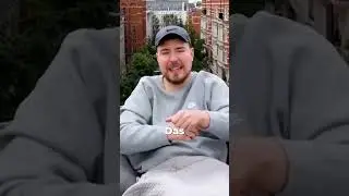 MrBeast Hasst Twitch