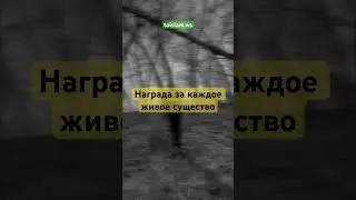 Награда за каждое живое существо 