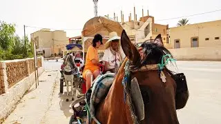 Plimbare cu trasura prin Oaza Degache, Tunisia, Africa de Nord