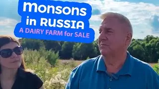MONSONS in IVANOVO. A DAIRY FARM for SALE