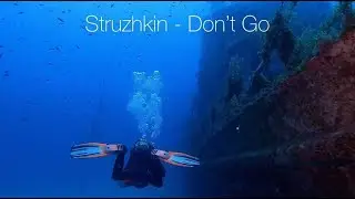 Struzhkin - Don`t Go