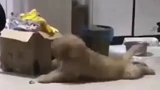 Ля как
