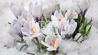Калатснкое СУВУ. 8 марта 2024 года