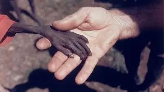 Люди которые удивили весь мир