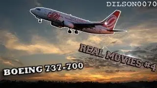 Boeing 737-700 - Landing at Vitória (SBVT) - FSX Real Videos #4