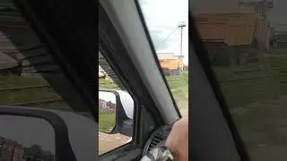 из жизни