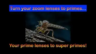 Turn your zoom lenses to primes and primes to "super" primes!