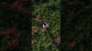Lapangan paiton orang lihat vs drone #shorts