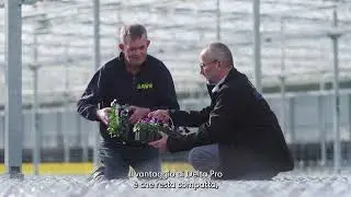Delta Pro at grower Baas | Italian