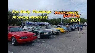 Fox body Mustangs at mustang week 2024