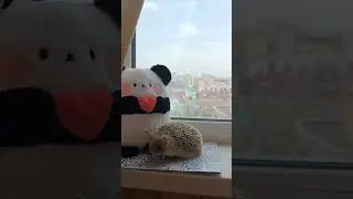 🪴🌼Дневная прогулка✨
