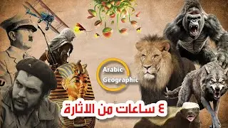 وثائقيات