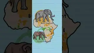 African Bush and Forest elephants are actually different species!