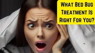 Bed Bug Treatment  Chemical vs Natural