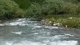 Табиати Тозаи Водии Рашт