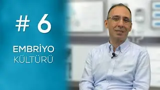 EMBRİYO KÜLTÜRÜ #6