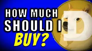 How Much Doge Coin Should I Buy - How Much Other Cryptocurrencies Should I Buy? (MUST WATCH)