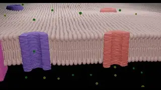 Ion channels