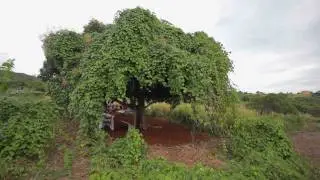 JAKE'S FARM DINNER 2012