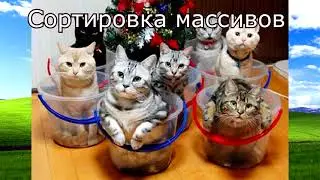 Что-то типа лекции про сортировку массивов методом Шейкер
