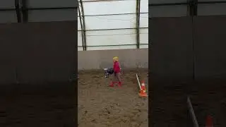 Хоббихорсинг это полезно и познавательно