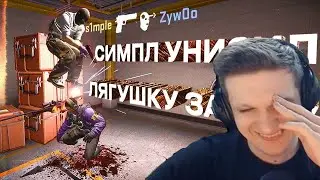 ЭВЕЛОН СМОТРИТ: СИМПЛ РОФЛИТ НАД ZYWOO! Бедный лягушонок ((