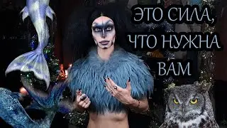 Who is your Totem Animal? How to find, magical practices. Guardian Spirit