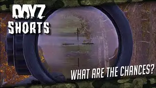 What are the chances? - DayZ Shorts