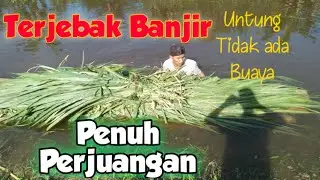 MOMENT SAAT NGARIT TERHALANG BANJIR