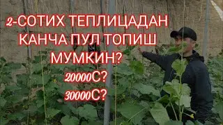 2-СОТИХ ТЕПЛИЦАДАН КАНЧА ПУЛ ТОПИШ МУМКИН? 
2-SOTIH TEPLISADAN QANCHA PUL TOPISH MUMKIN🤑?