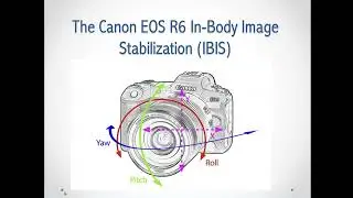 The Canon IBIS Performance with the RF50mm f/1.8 STM Lens