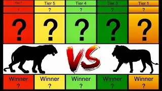 Animal Fight Tier List! Which Fight Is The Best?