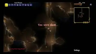 Kira's Theme Death Sound in Terraria