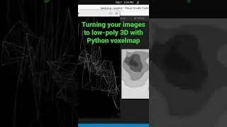 Turning your images to low poly 3D with #Python voxelmap